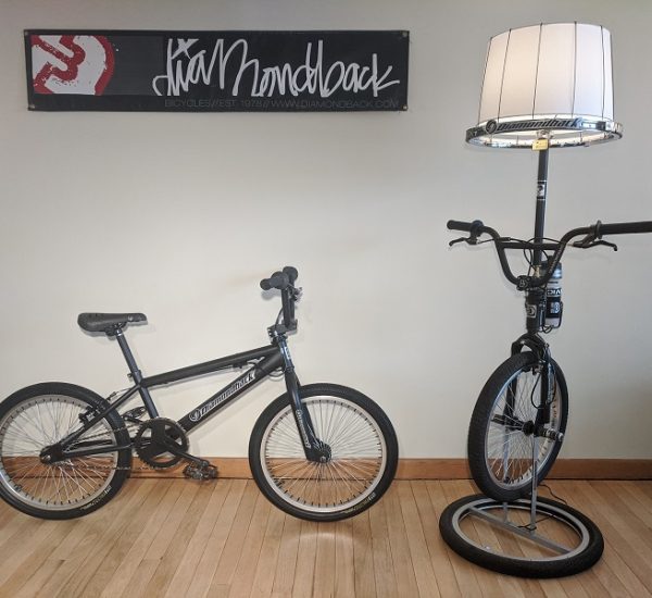 2004 DIAMONDBACK BMX